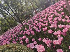 -翠湖公园