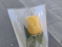 -Release bar 释放酒吧 (哈西万达店)