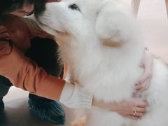 -汪说·狗咖(旺城大厦店)