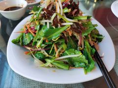 -大鹅岛绿色生态美食园