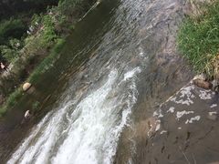 -雾灵西峰
