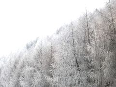 -硗碛藏寨·神木垒景区