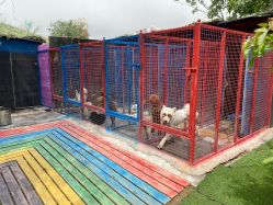 -萌宠亲子动物乐园(槐房万达店)