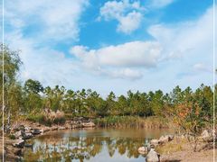 -春花秋色城市公园