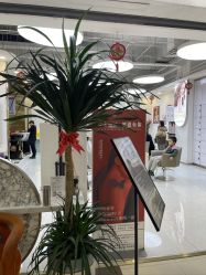 -虫二·专注健康烫染沙龙