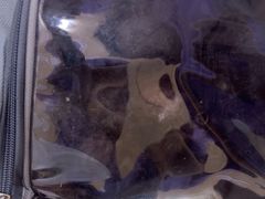 -天宠宠物医院24小时·急重症诊疗中心·全科·腔镜特色(和平分院)