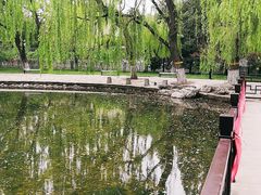 -玲珑塔公园