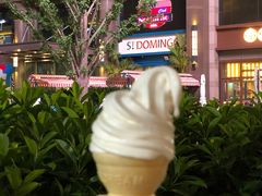 香草火炬冰淇淋-汉堡王(中骏世界城店)