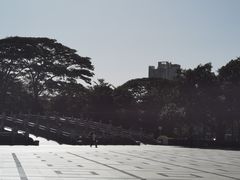 -顺峰山公园