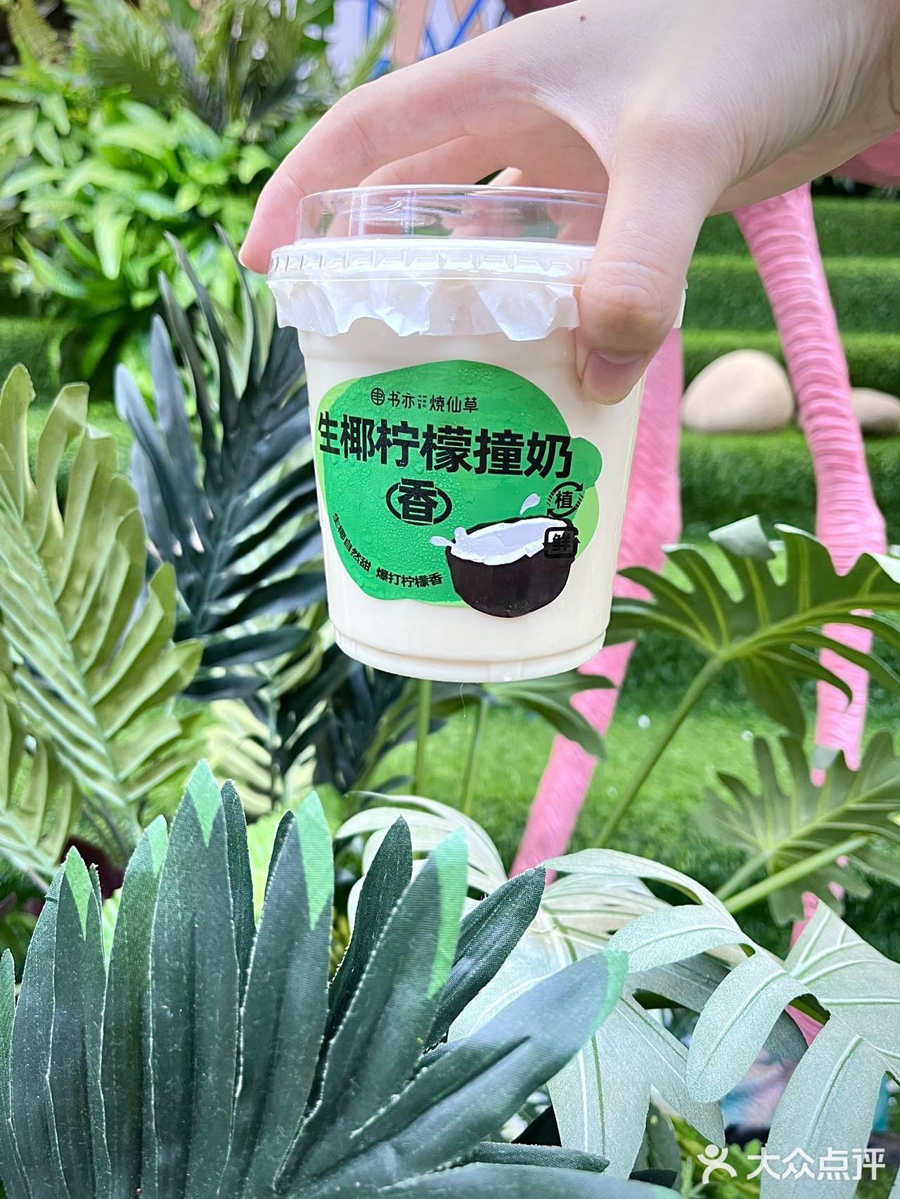 ‼️书亦最近频繁出新招｜我真的太爱了✌️