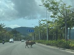-后海村