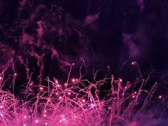 -南宁花花大世界景区