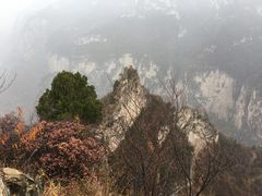 -山西壶关太行山大峡谷旅游景区