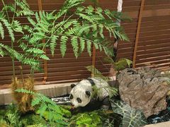 -董家大院·京味家常菜(朝丰家园店)