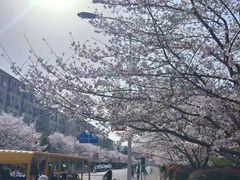 -江南大学(蠡湖校区)