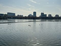 -莲花池公园