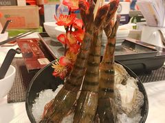 -鲜入围煮花胶鸡海鲜火锅