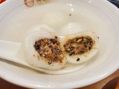 -海丝金凤(金鱼店)