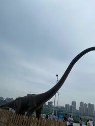 -恐龙探索乐园(磁器口店)