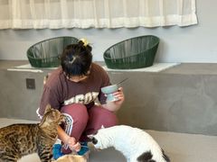 -Cappucimeow猫咪咖啡馆(韦伯时代店)