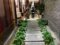 -梧桐餐厅(泉城路店)