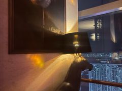 -The Penthouse酒吧
