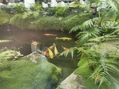 -罗红摄影艺术馆