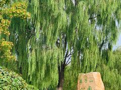-莫子山公园