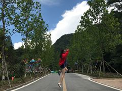 -梦幻奥陶纪景区