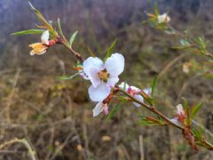 -富平县金粟山森林公园