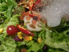 android_upload_pic-雀舞云南菜(乐客城店)