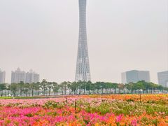 -海心沙亚运公园