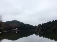 -四明山国家森林公园