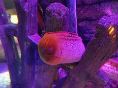 -沈阳海洋探索中心