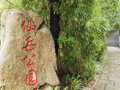 -仙岳公园