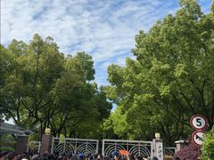 -上海市实验学校
