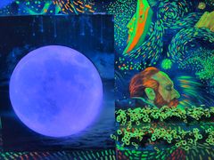 -成都梵高星空艺术馆(春熙路旗舰店)