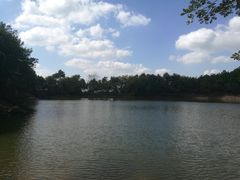 -南京市无想山景区