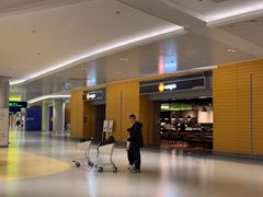 -Wagas沃歌斯(浦东机场店)