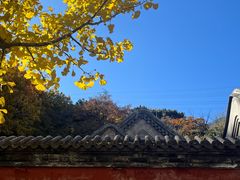 -阳台山自然风景区