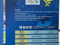 -上海海洋水族馆