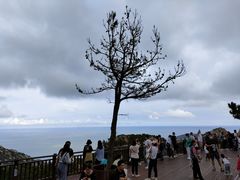 -崂山仰口游览区