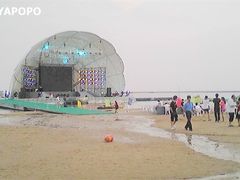 -碧海金沙