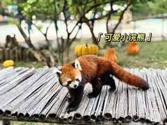 -泉州海丝野生动物世界