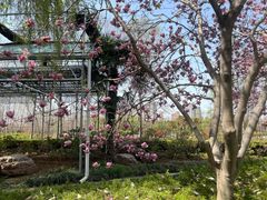 -洛阳市隋唐城遗址植物园