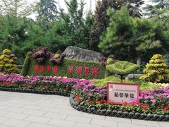 -莲湖公园