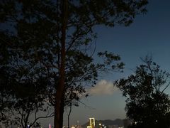 -板樟山森林公园