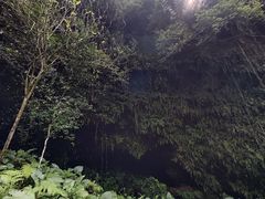 -海口火山口国家地质公园