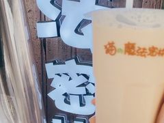 -猫的魔法密林(衣裳街店)