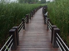 -苏州太湖湖滨国家湿地公园